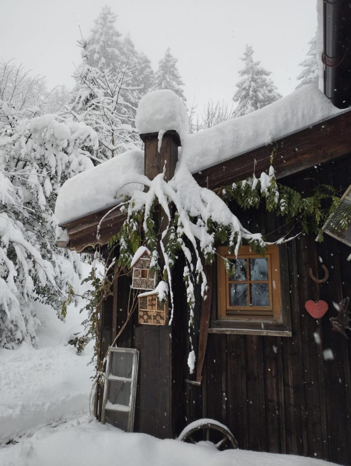 Villa Binderhäusl Thiersee Exterior foto